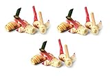 3 x 100g Frischer Galgant - Pamai Pai - Thai Ingwer frisch Galanga Galangawurzel Suppe