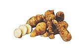 Topinambur 1kg Sorte: Gute Gelbe winterhart frische Topinamburknollen schmecken leicht slich-nussig Knollen zum Verzehr und zum Pflanzen