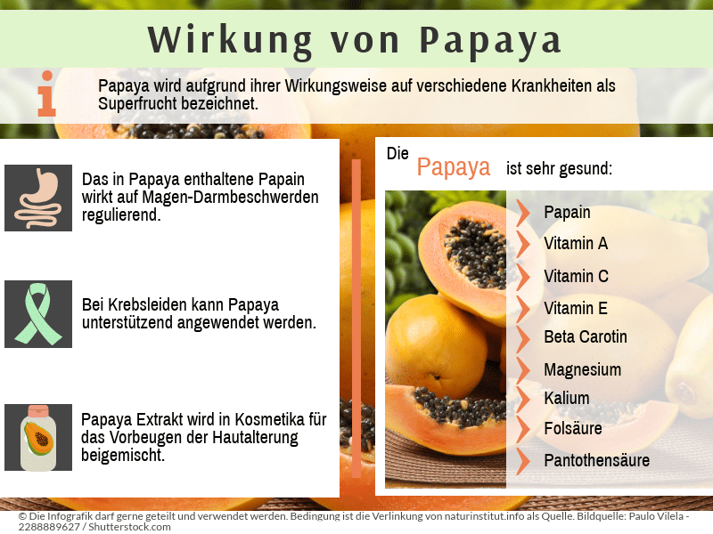 Papaya Zubereitung Rezepte Wirkung Anwendung Wo Kaufen